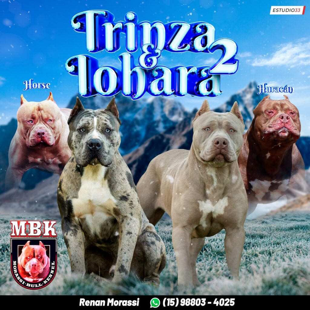 TRINZA X IOHARA 2