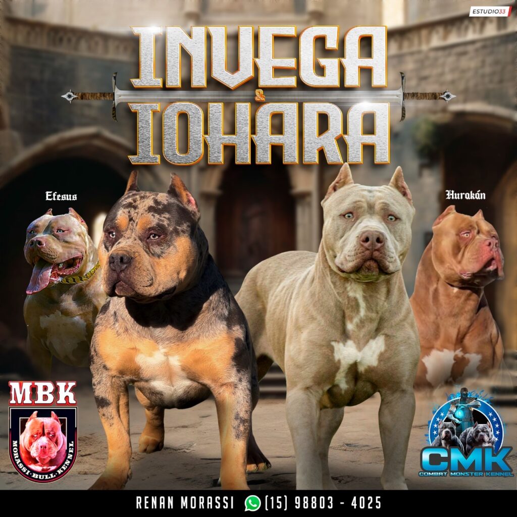 INVEGA-X-IOHARA-1024x1024