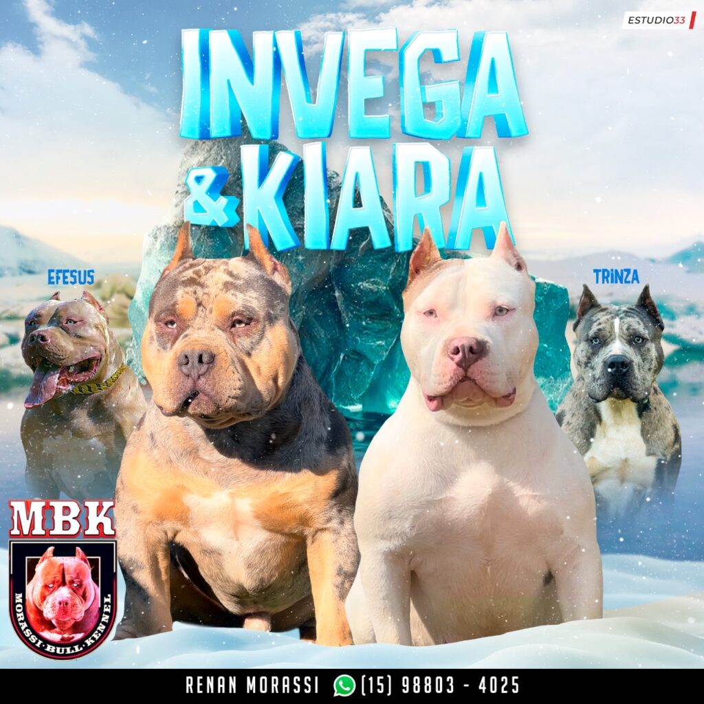 INVEGA-X-KIARA-1024x1024