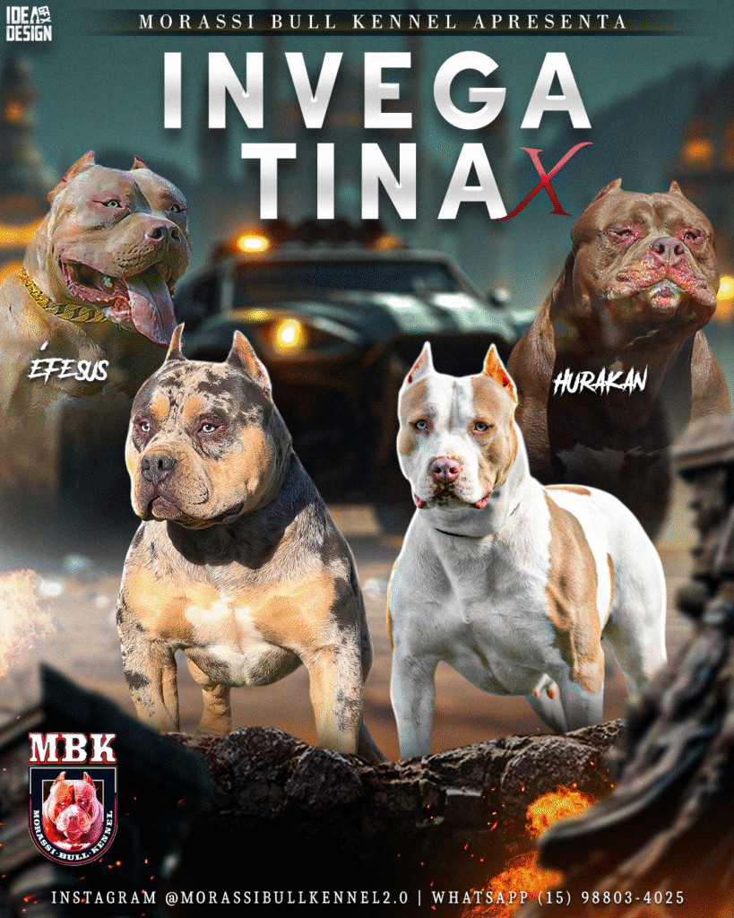 INVEGA X TINA