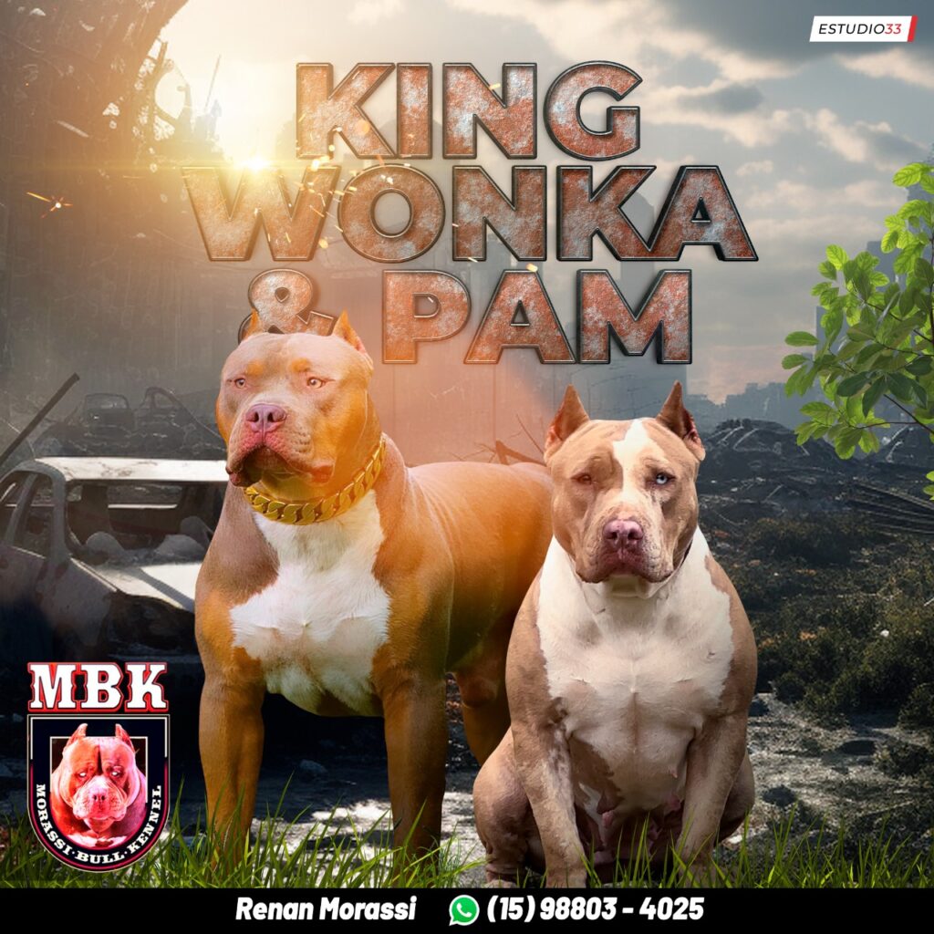 PHOTO-2023-10-10-21-59-25-1024x1024