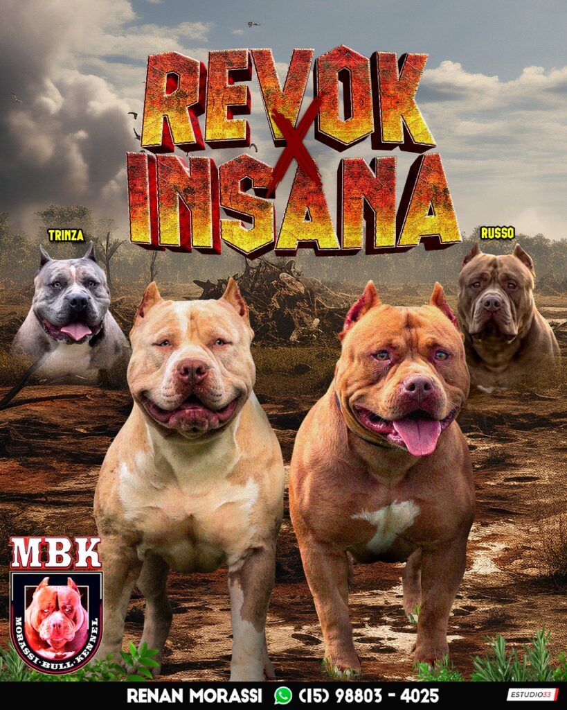 REVOK X INSANA