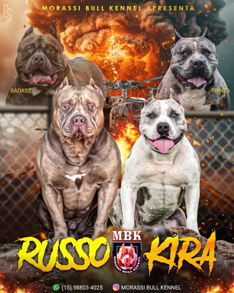 RUSSO X KIRA 2
