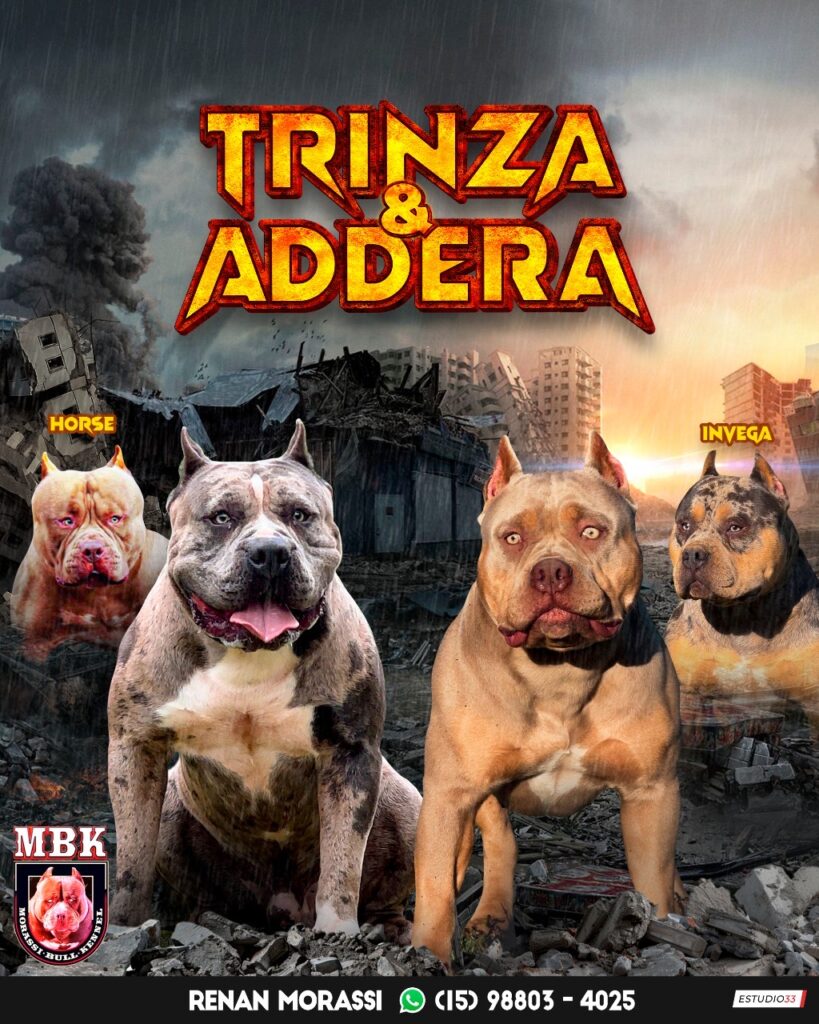 TRINZA X ADDERA