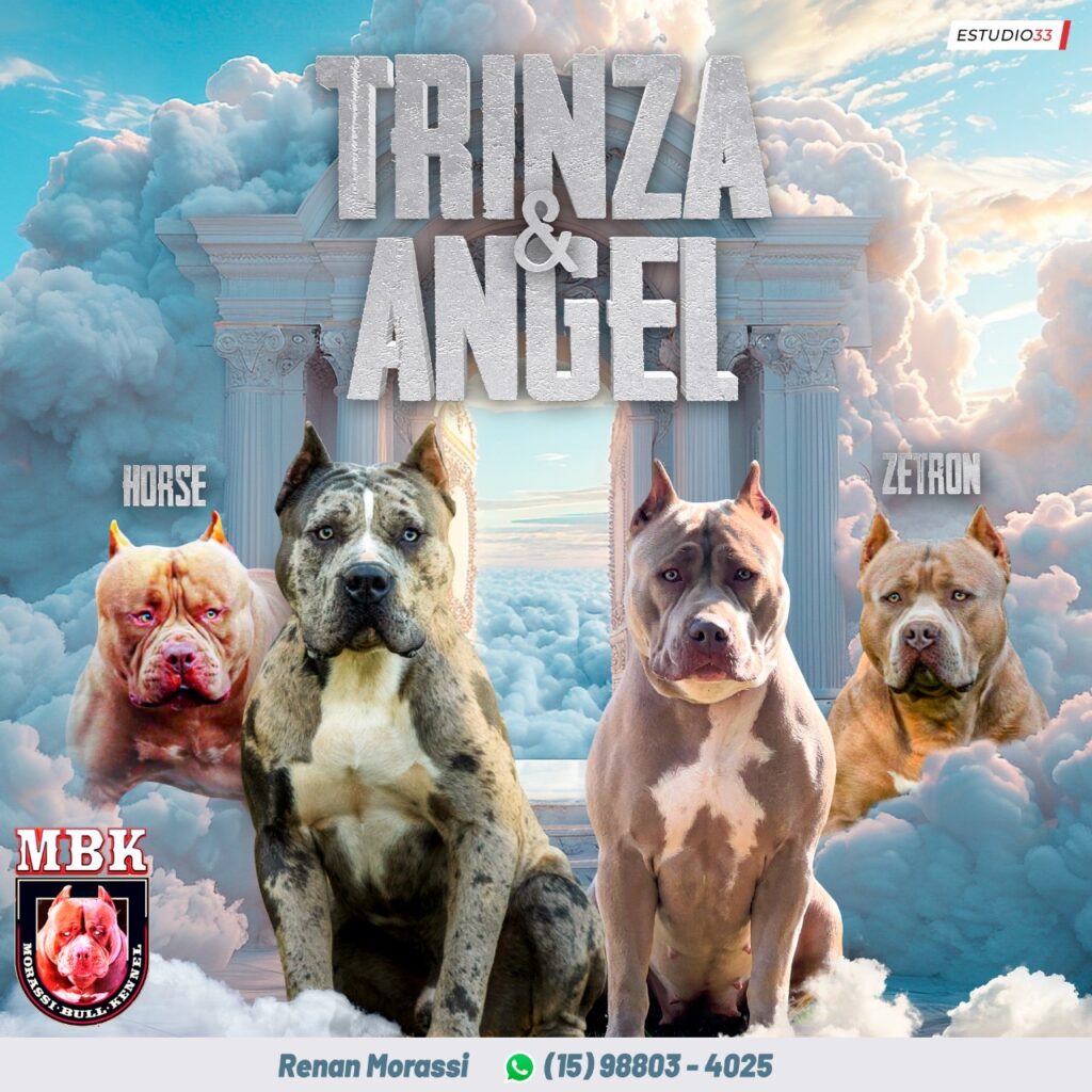TRINZA-X-ANGEL-1024x1024