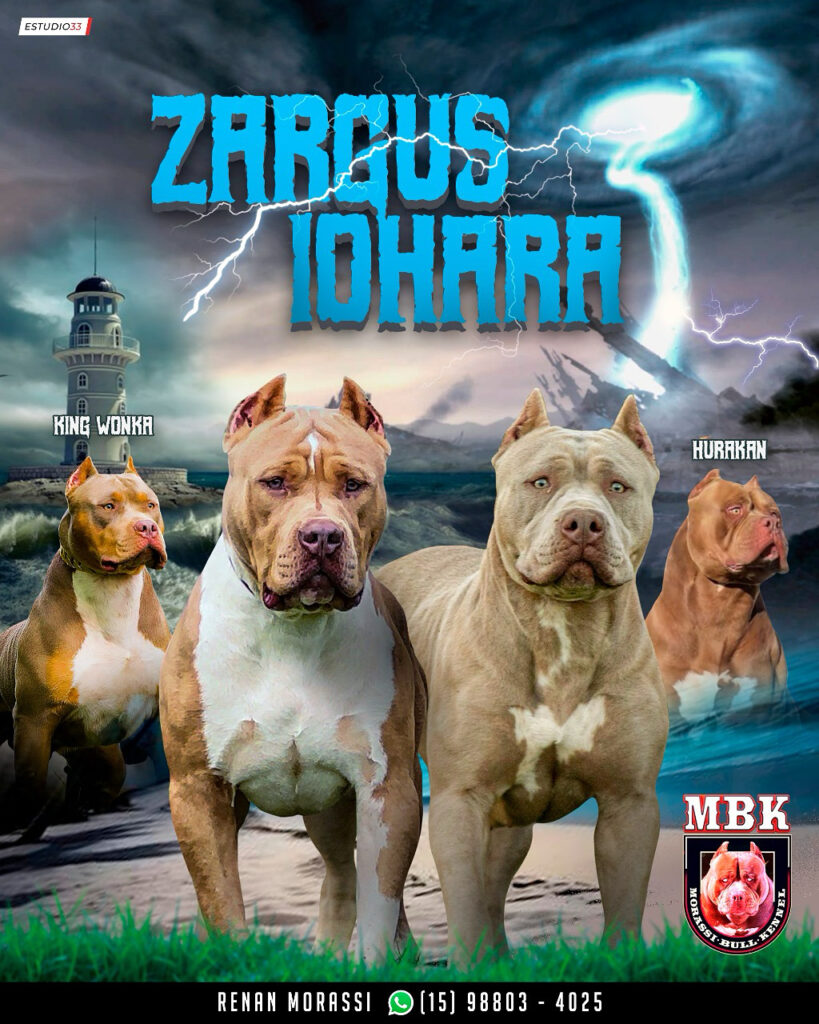 ZARGUS X IOHARA