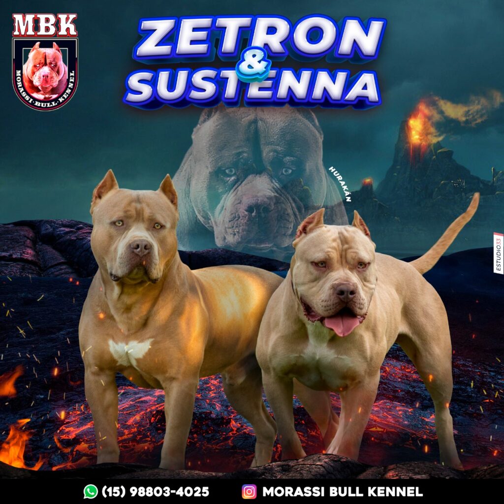 ZETRON X SUSTENNA