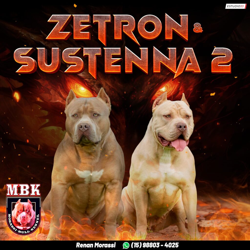 ZETRON-X-SUSTENNA-2-1024x1024