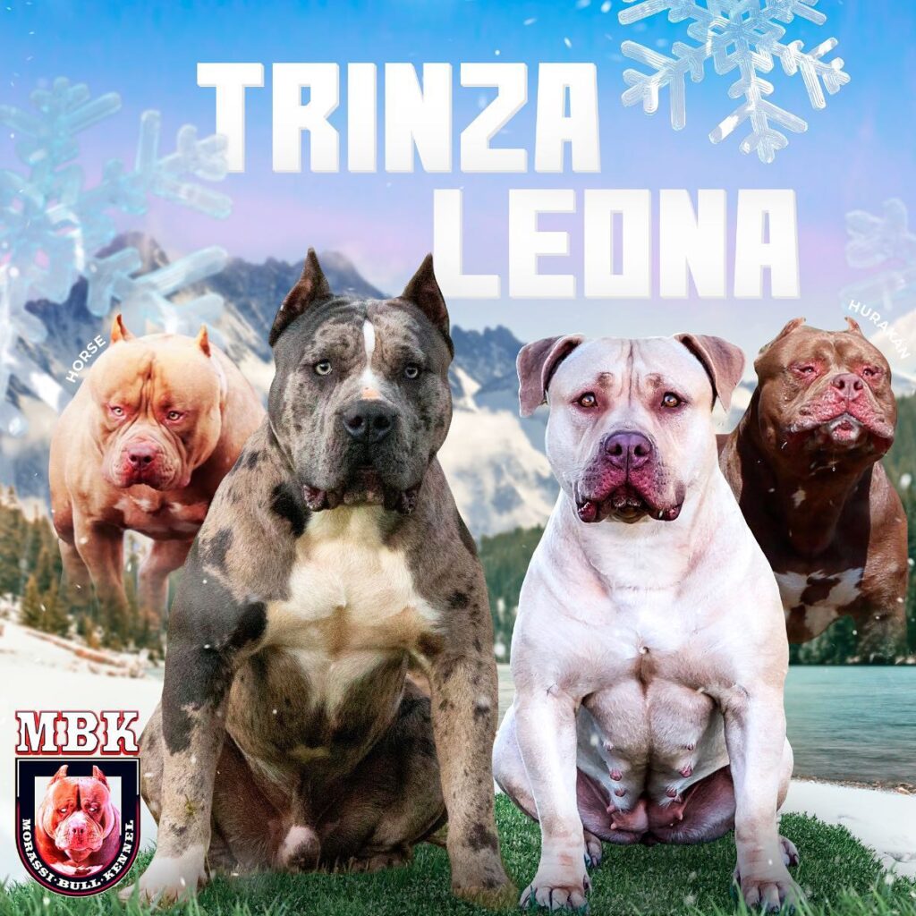 image-2329499-e1695770814483-1024x1024