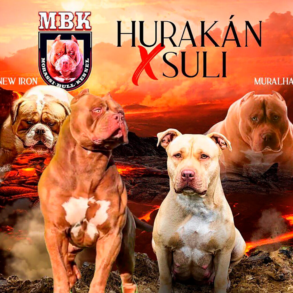 image-5707275-e1695770477483-1-1024x1024