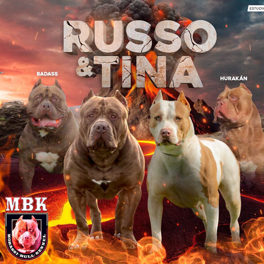 image-9761645-e1695770763980-1024x1024