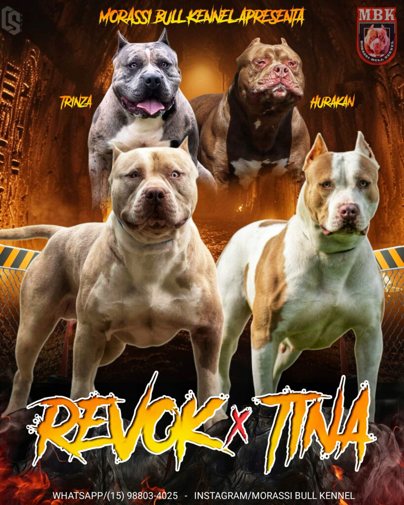 6A68050F-38E2-4695-ABD1-530E34A2E712