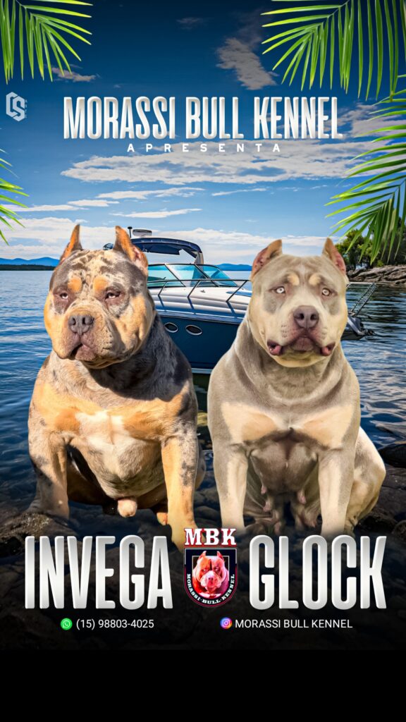 INVEGA X GLOCK