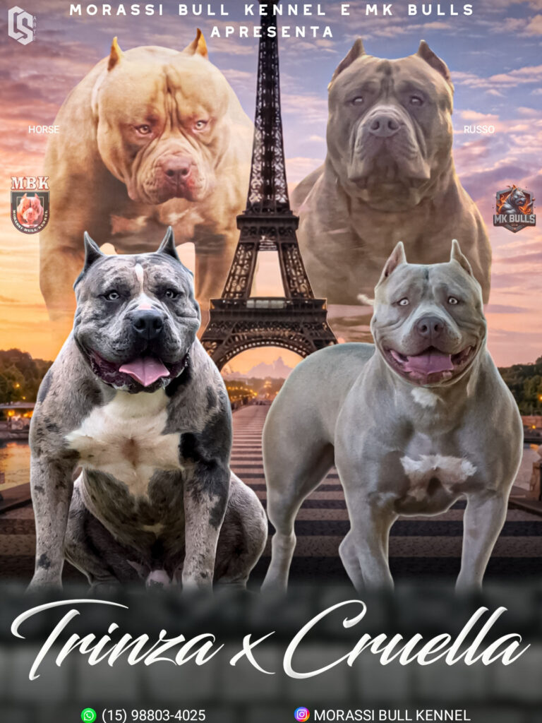 TRINZA X CRUELLA