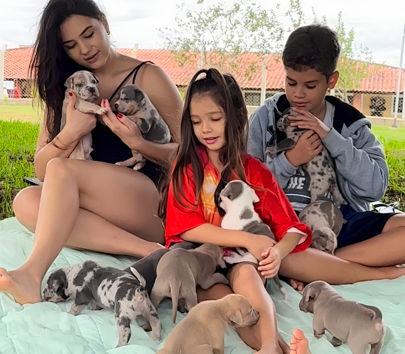 SE VOCÊ QUER UM CACHORRO INDEPENDENTE, TALVEZ O PITMONSTER NÃO SEJA PRA VOCÊ